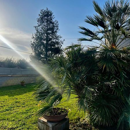 A Casa Di Marco Guesthouse - Apt Di Ciampino E Stazione Per Roma Marino Buitenkant foto