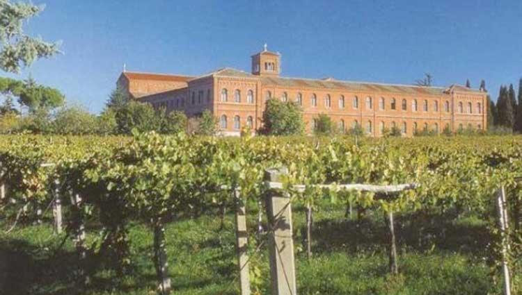 A Casa Di Marco Guesthouse - Apt Di Ciampino E Stazione Per Roma Marino Buitenkant foto